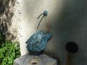 2015-09-10 12-22-40 Fontaine St Symphorien  YLe